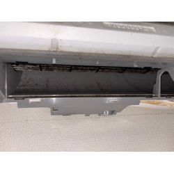 黒かび対策していきましょう！の画像1