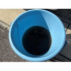 黒かび対策していきましょう！の画像3