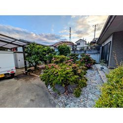 お庭の除草＆除草剤散布の画像3