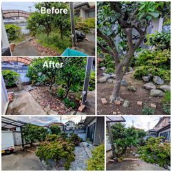 お庭の除草＆除草剤散布の画像1