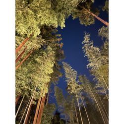 最終日、ご縁で繋がった犬山竹あかり🌕の画像1