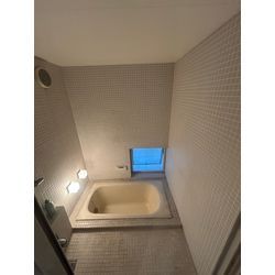 在来浴室パネル貼り　各所塗装　床マットの画像1