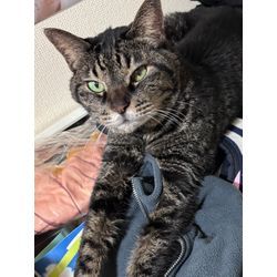 2025年年内の仕事を締め切りましたの画像1