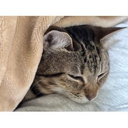 2025年年内の仕事を締め切りましたの画像2