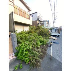 🌿道路にはみ出した植木と雑草をすっきり草刈り！見違えるように整備しましたの画像1