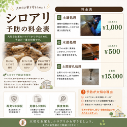 シロアリ予防の重要性の画像1