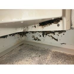 【今日から12月】の画像1