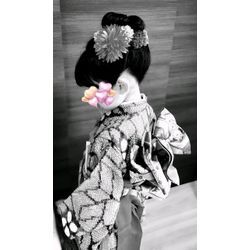 七五三前撮りの画像2