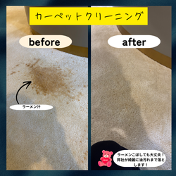 掃除機では不十分？カーペットのダニ対策の画像1