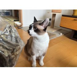 ☆開業196日目☆の画像1