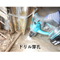 シロアリ発見の画像2