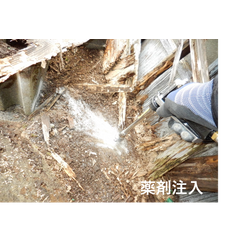 シロアリ発見の画像3