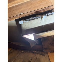 柏市ネズミ駆除の画像1