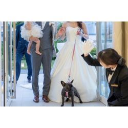 リングドッグアテンド費用を抑えたい方への画像1