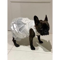 リングドッグアテンド費用を抑えたい方への画像2