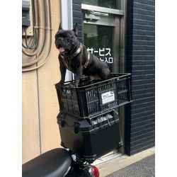 過ごしやすい気温になってきましたね(^^♪の画像1