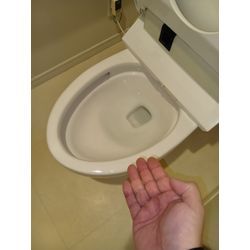 安定の技術を、トイレクリーニングの画像1