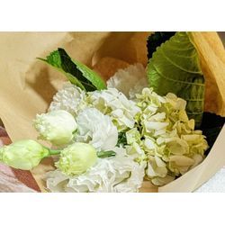 〜家整婦ミタです③〜そっと寄り添う、小さな命との日々の画像1