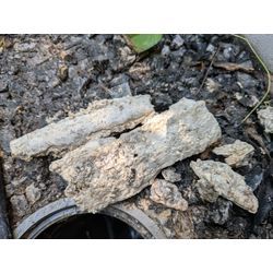 そろそろ高圧洗浄を…の画像2