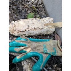 そろそろ高圧洗浄を…の画像1