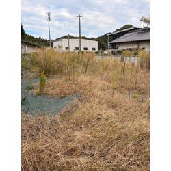 空き地の草刈り、防草シート徹去依頼の画像1