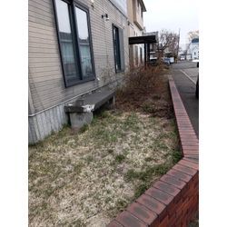 【草むしり＋木の抜根を行いました】の画像1