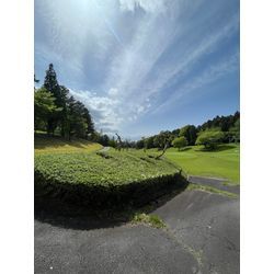 ゴルフ場の刈り込み風景です😊の画像2