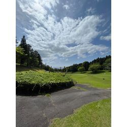 ゴルフ場の刈り込み風景です😊の画像1