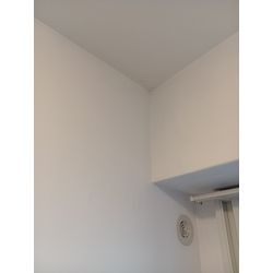 壁紙のカビ除去の画像2