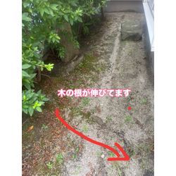 高圧洗浄作業💦🐝の画像3