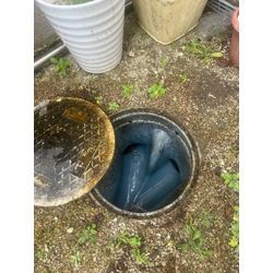 高圧洗浄作業💦🐝の画像2