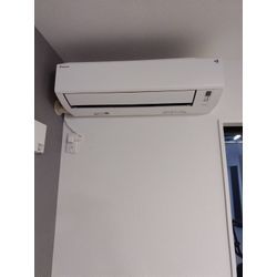 午後から初めての画像1