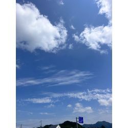 ゴミ屋敷回収に対する思い。の画像1