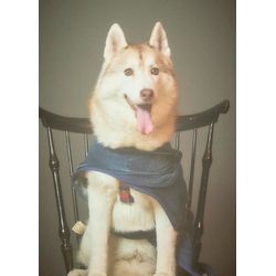 沢山の方への画像3