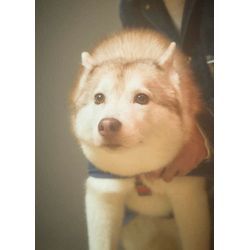 沢山の方への画像2