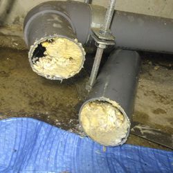 最終手段？の画像2