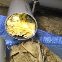 最終手段？の画像1