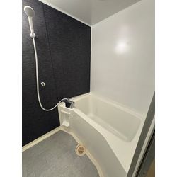 賃貸アパートの浴室リメイクの画像3