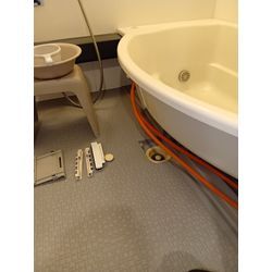 お風呂にコバエ、、、の画像3