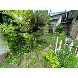 除草作業をさせて頂きました！の画像1