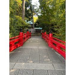 七五三の季節ですね。の画像1