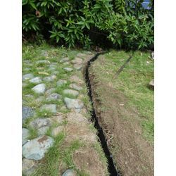 広島県廿日市市で剪定 | 広島県山口県で庭木の剪定は塩田剪庭園の画像1