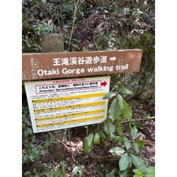 暑さの中で涼を求めての画像2