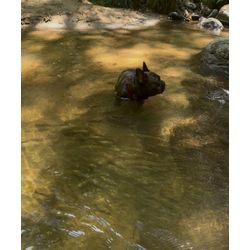 暑さの中で涼を求めての画像3