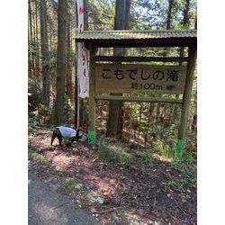 暑さの中で涼を求めての画像1