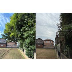 「受け継ぐ庭、手放す庭」の画像1