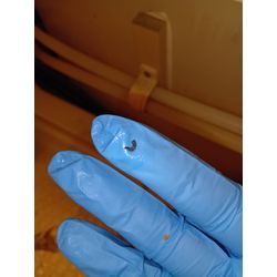 お風呂チョウバエはエプロン内の排水消毒をの画像2