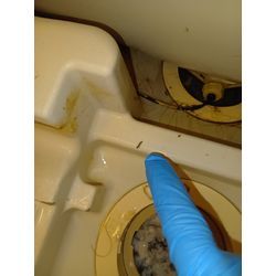 お風呂チョウバエはエプロン内の排水消毒をの画像1