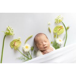 フラワーポケットの画像1