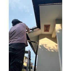 熊本市北区　アシナガバチ　駆除の画像2